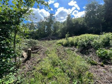 Referenzen – Bild: 5312