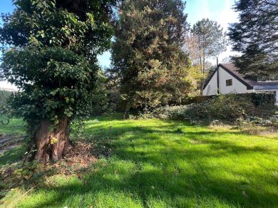 Referenzen – Bild: 5953