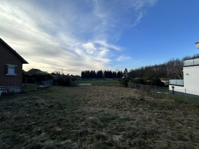 Referenzen – Bild: 9454