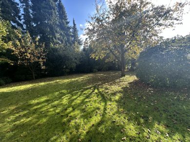 Referenzen – Bild: 13220