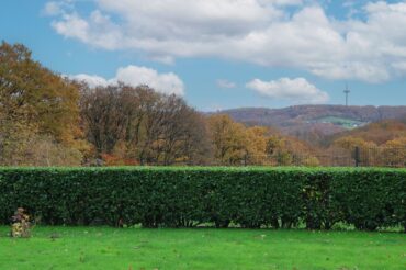 JA, zur Penthouse-Alternative mit Garage, Außenstellplätzen und Garten … OHNE Käuferprovision! – Bild: 24534