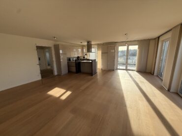 JA, zur exklusiven Penthousewohnung mit großer Dachterrasse und 2 TG-Stellplätzen in Solingen-Ohligs – Bild: 24789