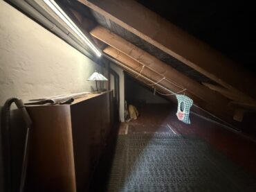 JA, zum Einfamilienhaus mit Einliegerwohnung, großem Garten und Garage Nähe Klinikum! – Bild: 25640