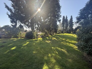 JA, zum Einfamilienhaus mit Einliegerwohnung  und  traumhaften Garten in begehrter Lage Nähe Klinikum! – Bild: 27631