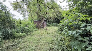 JA, zum ruhig gelegenen Ein-/Zweifamilienhaus mit Garagen  und  schönem Garten – Nähe Ittertal! – Bild: 28297
