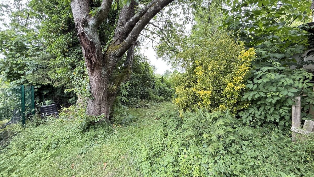 JA, zum ruhig gelegenen Ein-/Zweifamilienhaus mit Garagen  und  schönem Garten – Nähe Ittertal! – Bild: 28298