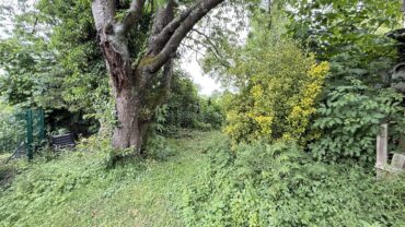 JA, zum ruhig gelegenen Ein-/Zweifamilienhaus mit Garagen  und  schönem Garten – Nähe Ittertal! – Bild: 28298