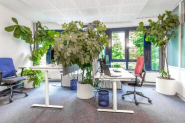 Bürohaus mit langfristigen Mietverträgen in hervorragender Lage. Anlageobjekt ohne Käuferprovision! – Bild: 29318